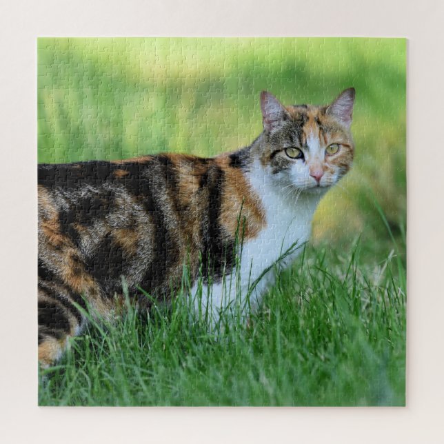 Puzzle Chat marron et blanc (Vertical)