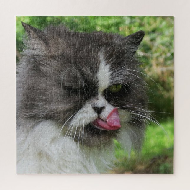 Puzzle chat, mignonne, animal de compagnie, gris, fureur, (Vertical)