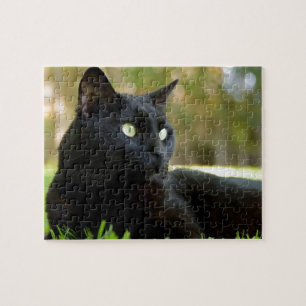 Puzzle Chat noir aux yeux verts appréciant l'extérieur