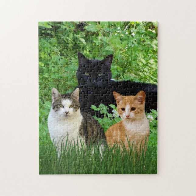 Puzzle Chat noir Chat tigré Des chats amusants dans le ja (Vertical)