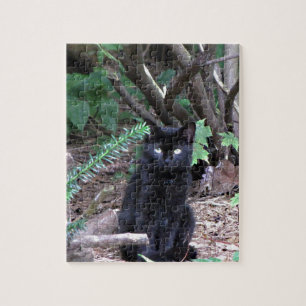 Puzzle Chat noir de chaton