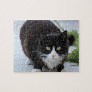 Puzzle Chat noir et blanc
