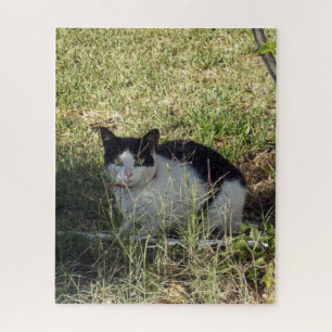 Puzzle Chat Noir Et Blanc Dans Le Jardin,