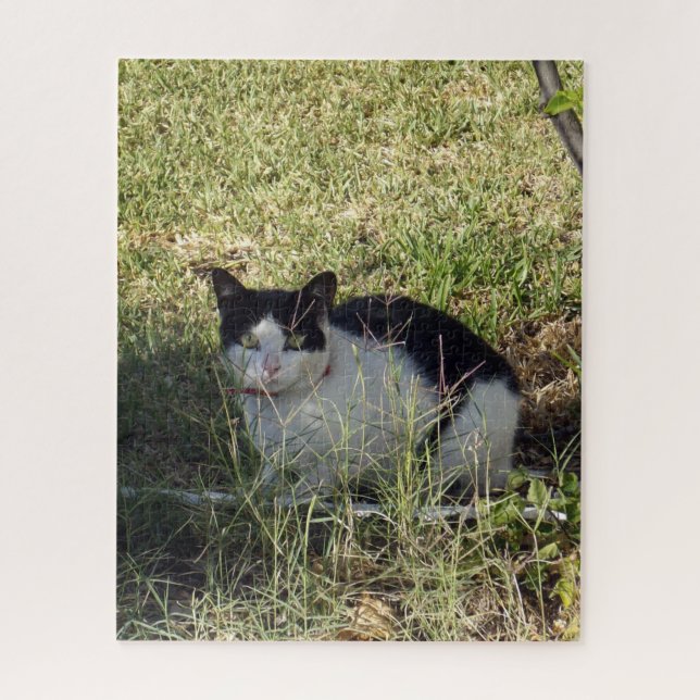 Puzzle Chat Noir Et Blanc Dans Le Jardin, (Vertical)