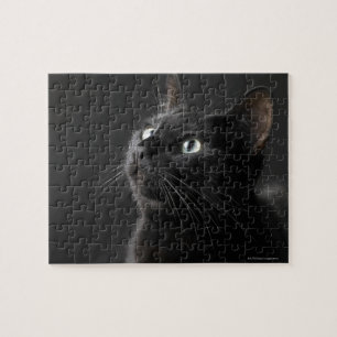Puzzle Chat noir sur le fond noir, plan rapproché