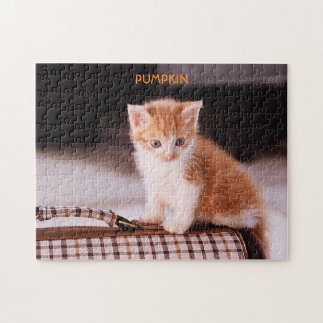 Puzzle Chat orange sur un porteur / Chaton orange (Horizontal)