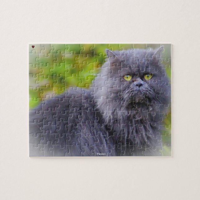 Puzzle Chat Persan (Horizontal)