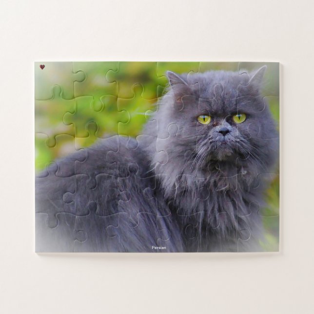 Puzzle Chat Persan (Horizontal)