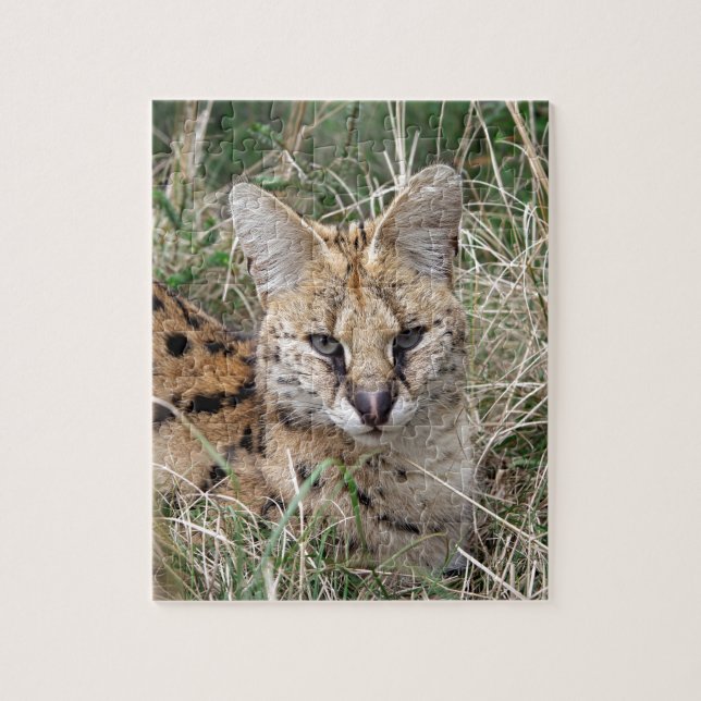Puzzle Chat Serval se relaxant dans l'herbe (Vertical)