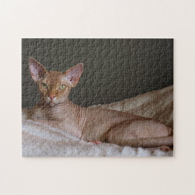 Puzzle Chat Sphinx sans cheveux (Horizontal)
