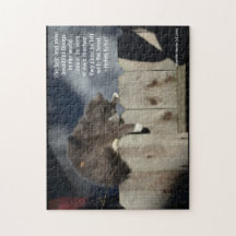 Chat sur la clôture n° 9 (Personnaliser le devis)