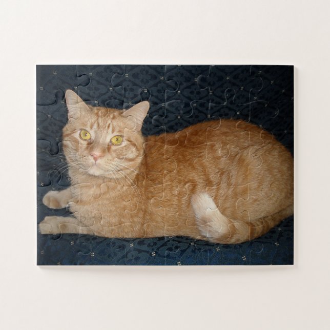 Puzzle Chat Tabby Orange (Horizontal)