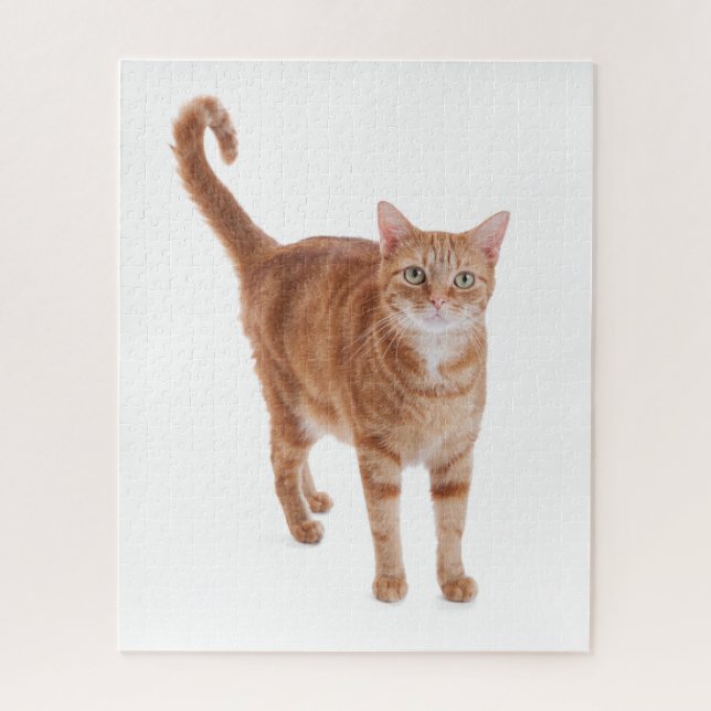 Puzzle Chat Tabby Orange (Vertical)