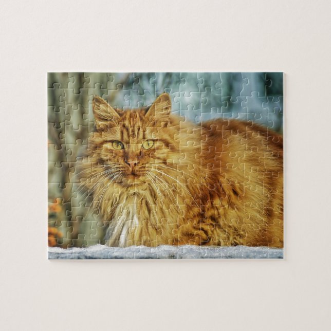 Puzzle Chat viril orange aux cheveux longs pelucheux (Horizontal)