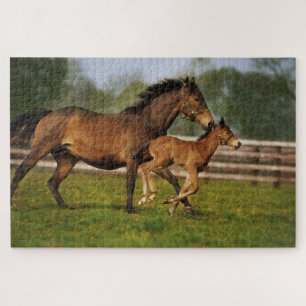 Puzzle Châtaigne de Thoroughbred Mare & Foie