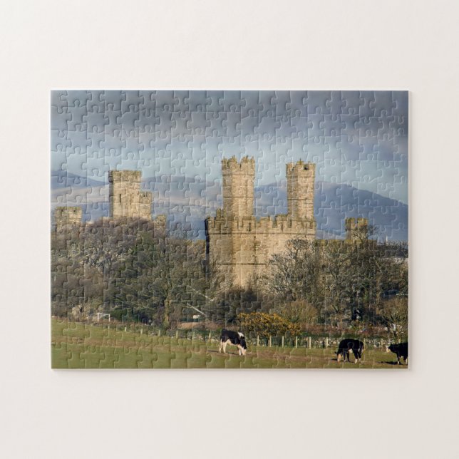 Puzzle Château de Caernarfon au Pays de Galles (Horizontal)