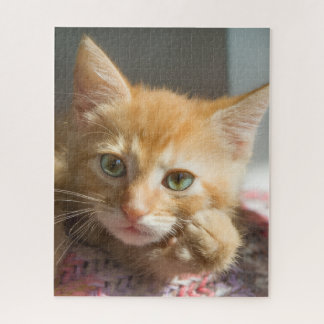 PUZZLE CHATON GINGEMBRE ANNIVERSAIRE
