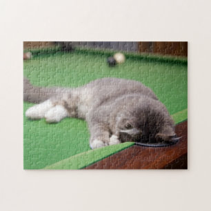 Puzzle Chaton jouant la piscine