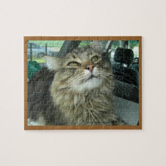 Puzzle chaton Maine Coon
