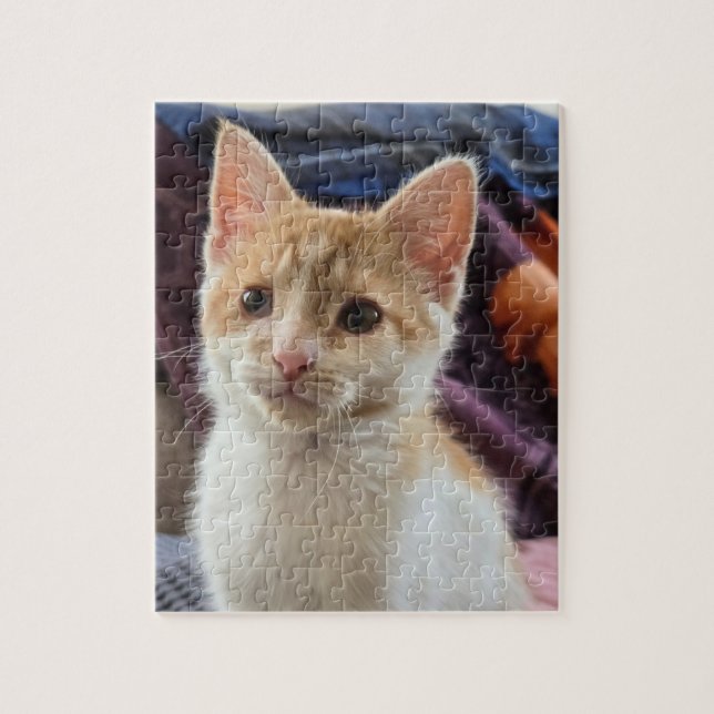 Puzzle Chaton orange (Vertical)