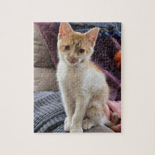 Puzzle Chaton roux