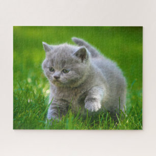 Puzzle - Chatons en train de jouer
