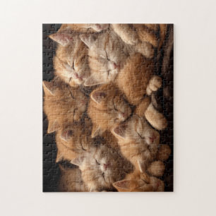Puzzle chatons orange dormant dans une pile
