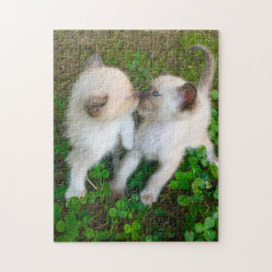 Puzzle chatons qui s'embrassent