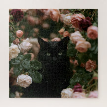 Chats de Bloom à Minuit