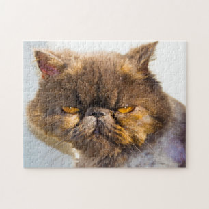 Puzzle Chats Persans.