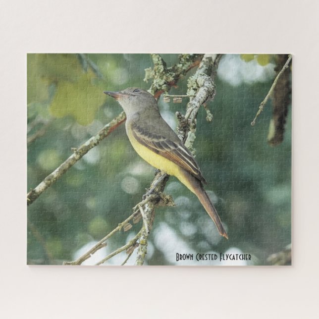 Puzzle Chaudron Brown, amoureux des oiseaux (Horizontal)
