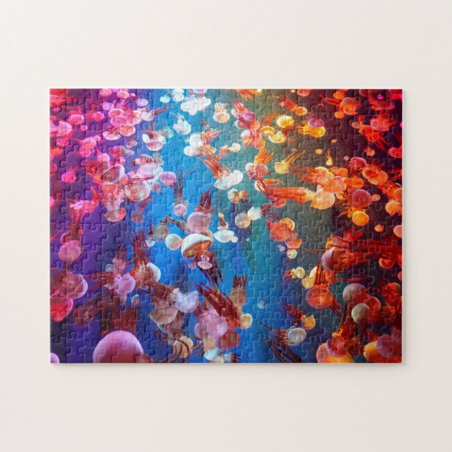 Puzzle Chaussure De Jellyfish Couleur Arc En Arc (Horizontal)