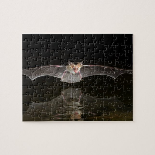 Puzzle Chauve-souris buvant en vol, Arizona (Horizontal)