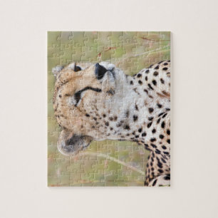Puzzle Cheetah
