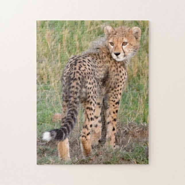 Puzzle Cheetah Cub Vous Regarde En Chemin. (Vertical)