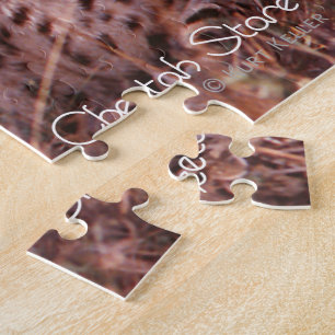 Puzzle Cheetah Stare