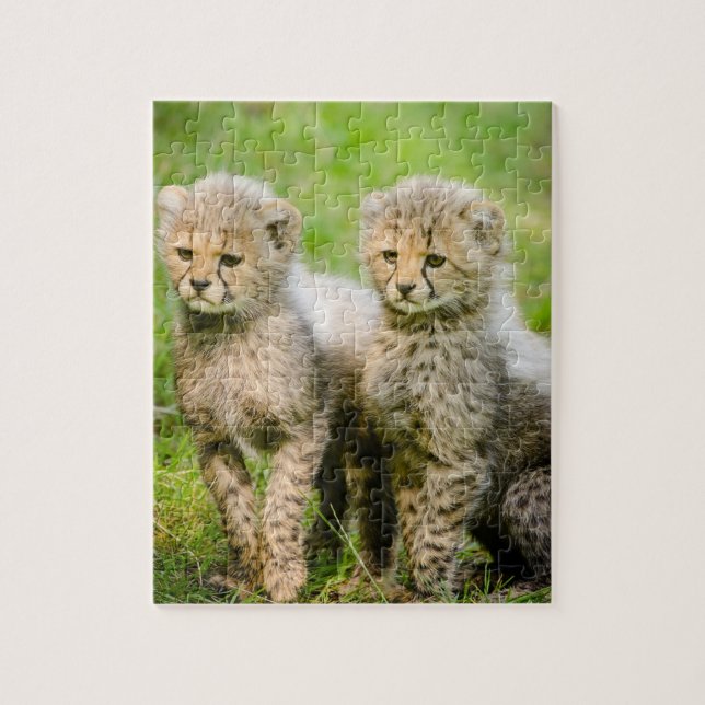 Puzzle Cheetahs bébé jumeaux (Vertical)