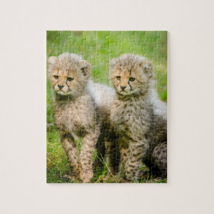Puzzle Cheetahs jumeaux