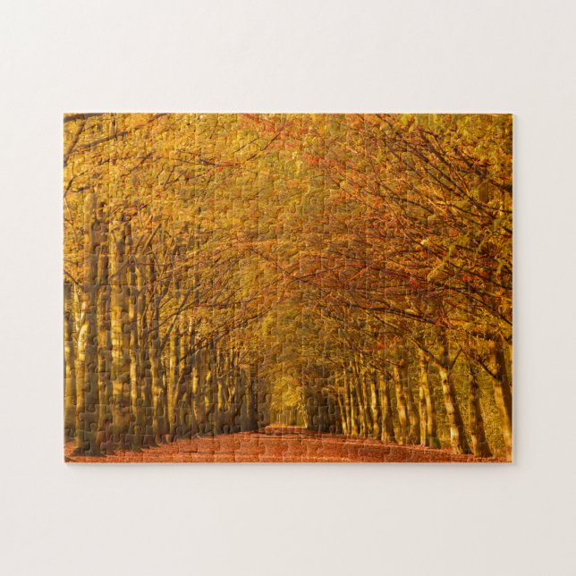 Puzzle Chemin de marche à travers la forêt en automne (Horizontal)
