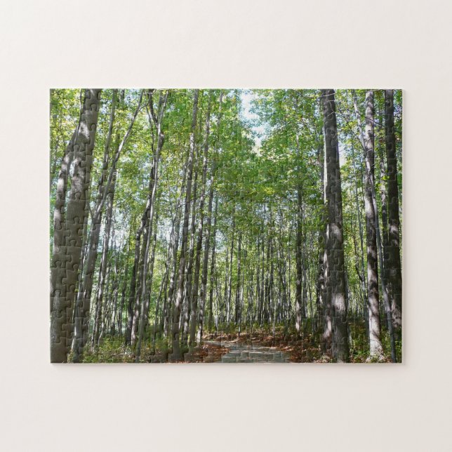 Puzzle Chemin en bois centenaire II Ellicott City Marylan (Horizontal)