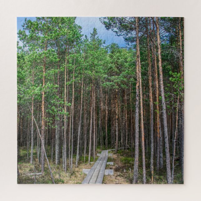 Puzzle Chemin en bois dans la pinède (Vertical)