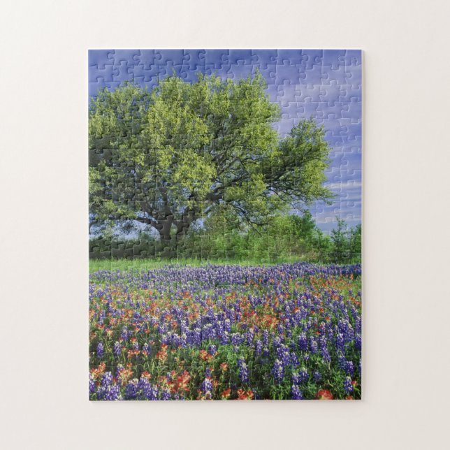 Puzzle Chêne vivant & Pinceau de Texas, et Texas (Vertical)