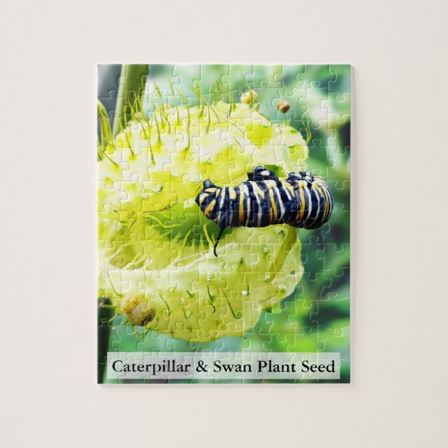 Puzzle Chenille de monarque & graine de plante de cygne 1 (Vertical)