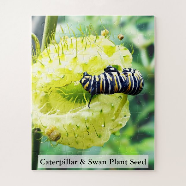Puzzle Chenille de monarque & graine de plante de cygne 5 (Vertical)