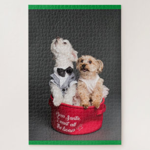 PUZZLE CHER PÈRE NOËL, JE VEUX TOUS LES OS