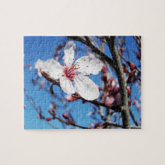 Puzzle Cherry Blossom 2