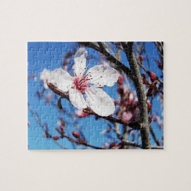 Puzzle Cherry Blossom 2 (Horizontal)