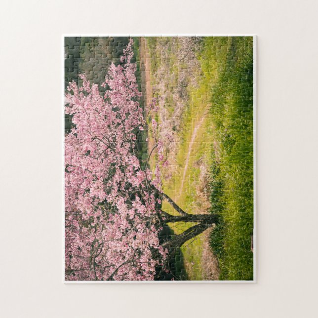 Puzzle Cherry blossoms blooming in the rural hill (Vertical)