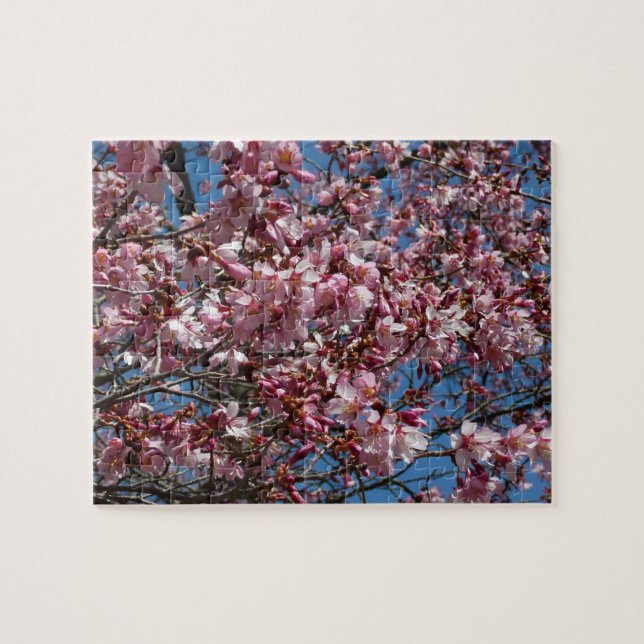 Puzzle Cherry Blossoms et Blue Sky Spring Floral (Horizontal)