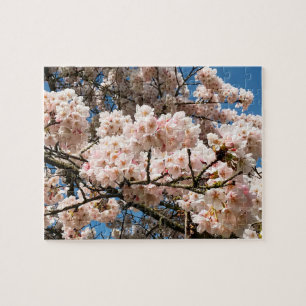 Puzzle Cherry Tree in Bloom, Oregon